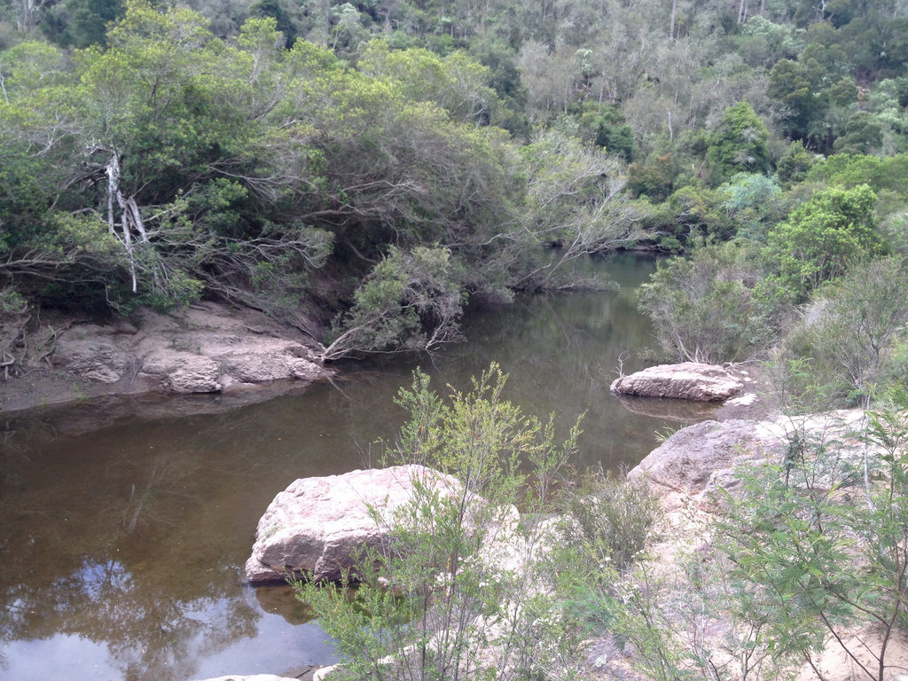 Creek off the Mitchell River