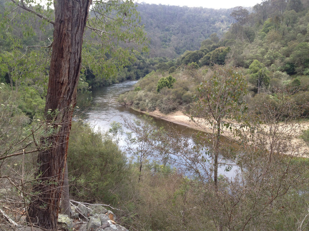 Mitchell River Walking Track