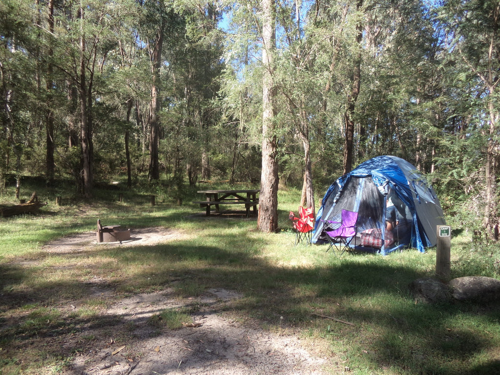 Hinces Creek, Burrowa Pine NP