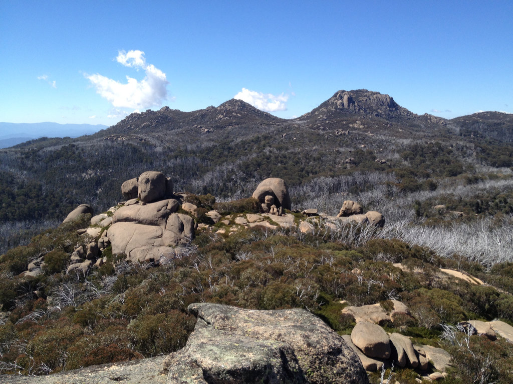 Long Plain Track - Mt Buffalo