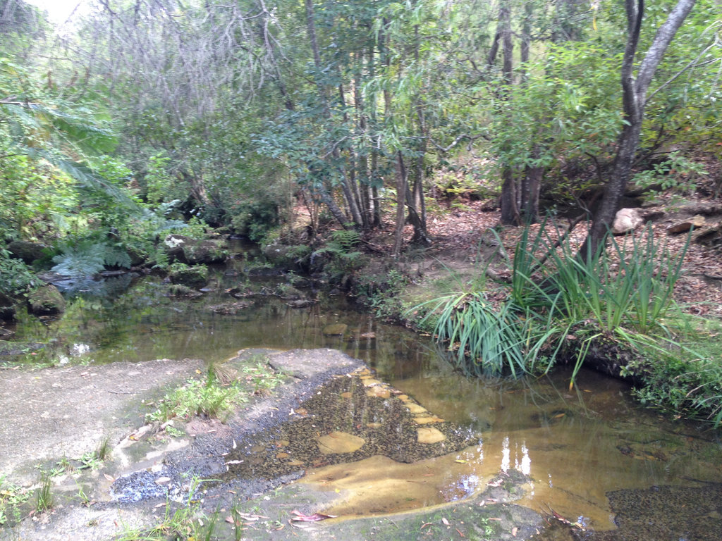 Mueller walking track loop