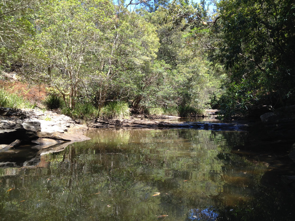 End of Rocky Creek.