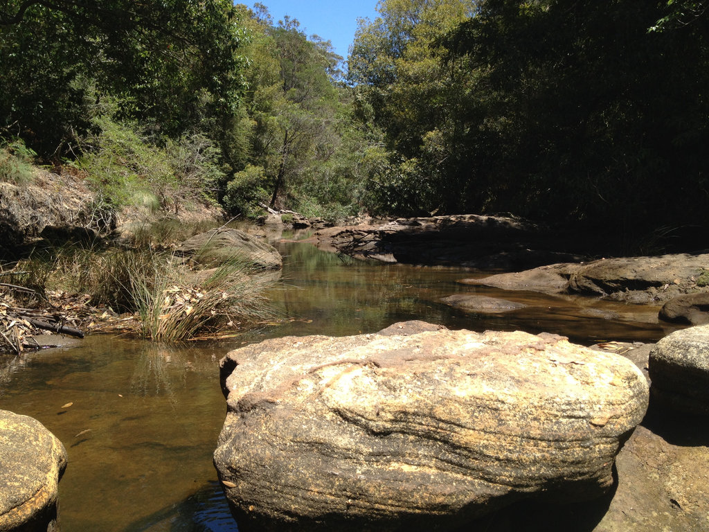 End of Middle Harbour Creek