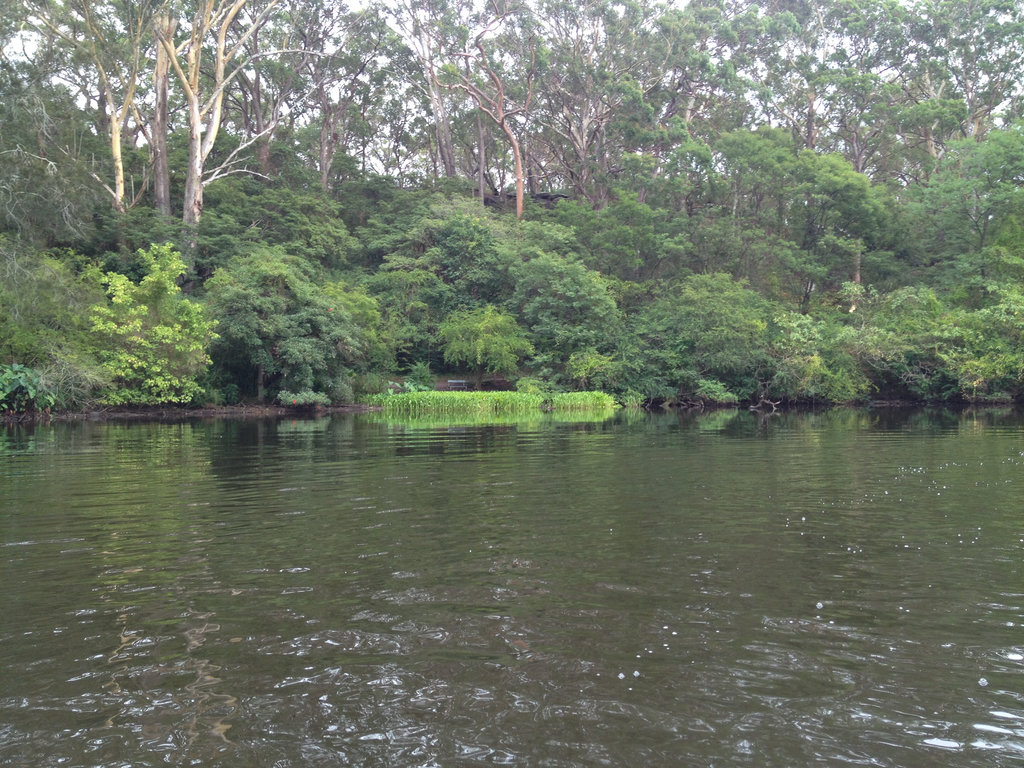 Lane Cove River from the weir to De Burghs Bridge