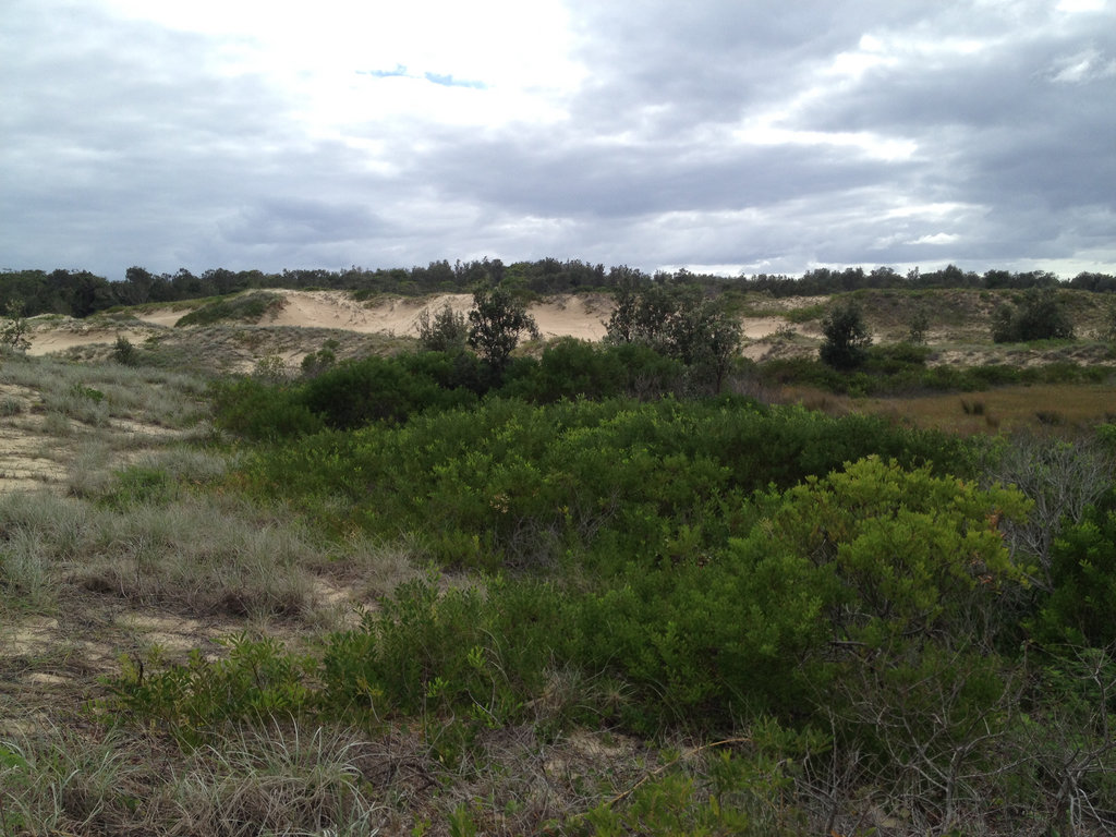 Station Creek Beach Walk