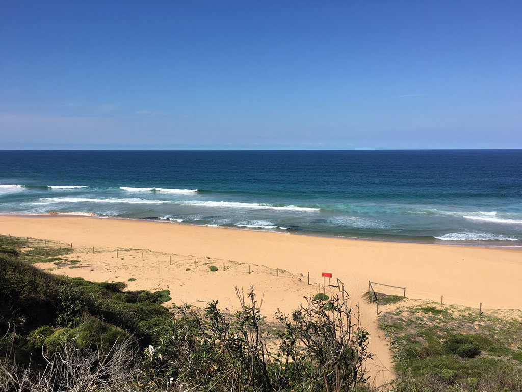 Around Mona Vale Golf Course.
