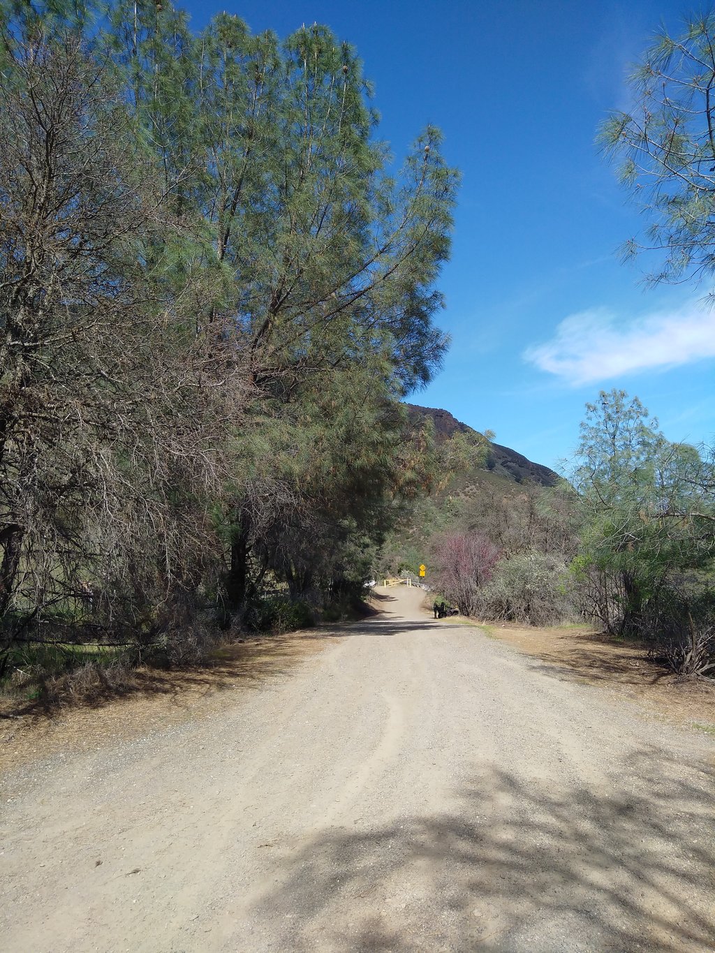 Rd 40/Rayhouse Rd Trailheads