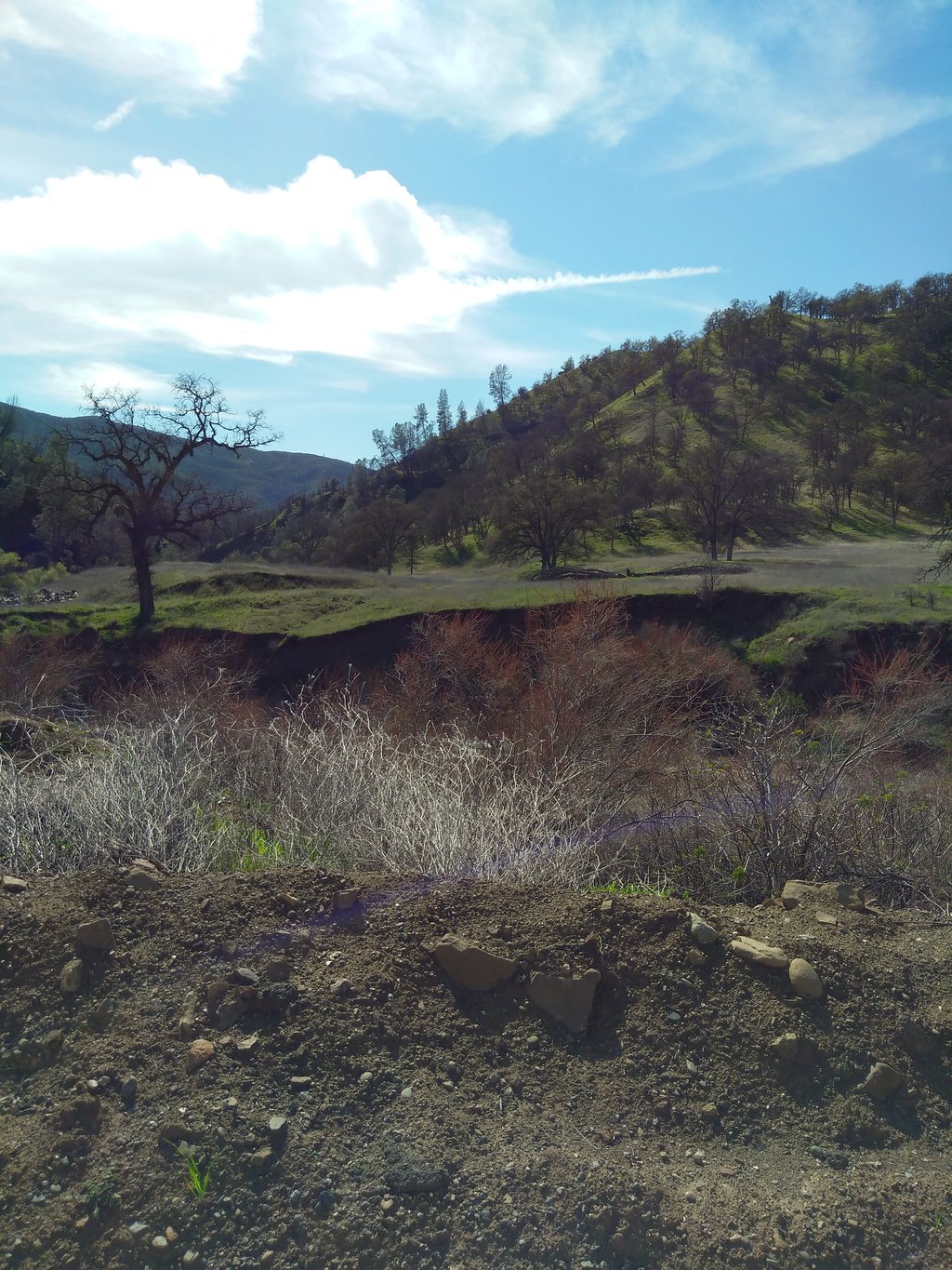 Cache Creek Ridge, South End