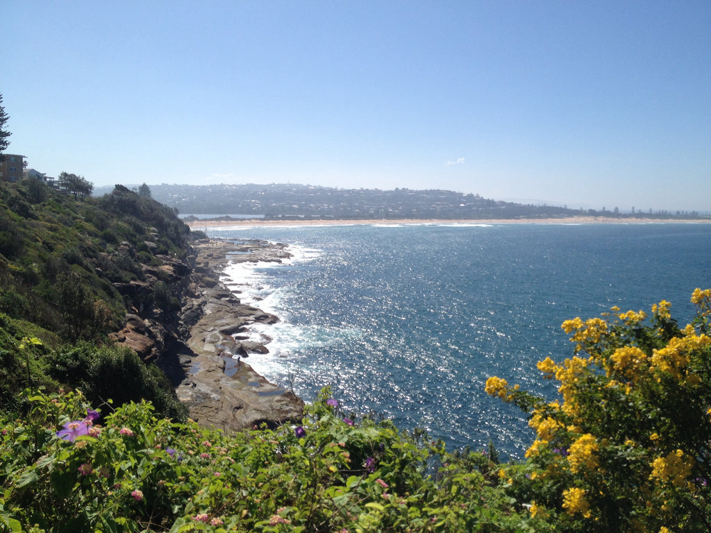 Headland of Dee Why Point