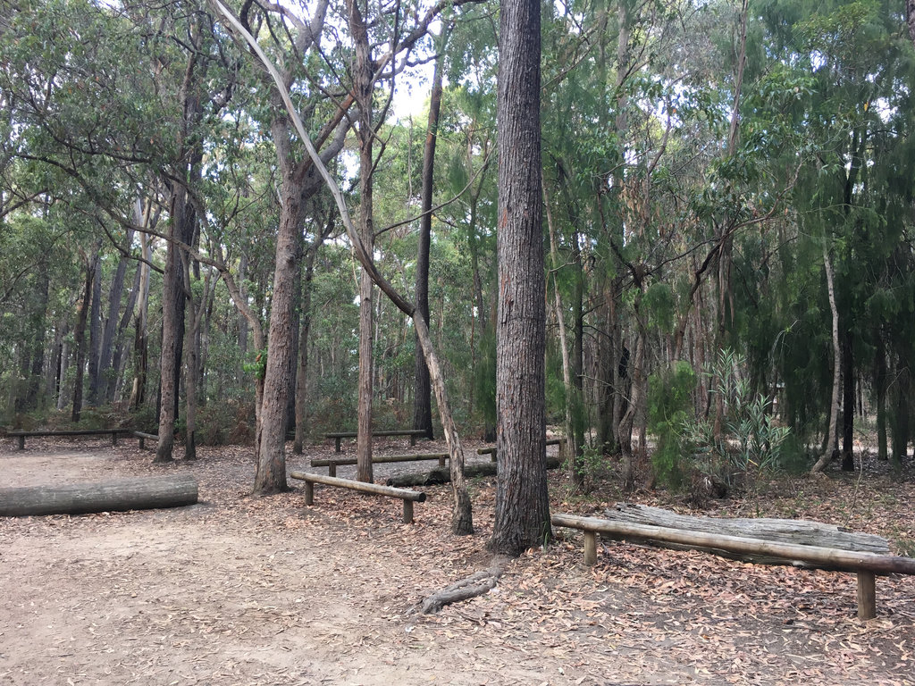 Shipwreck Creek Campsite