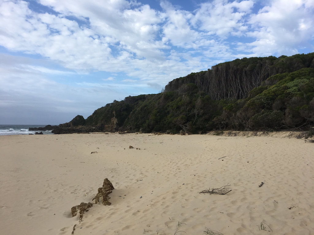 Shipwreck Creek Beach