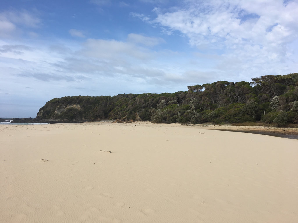 Seal Creek Beach