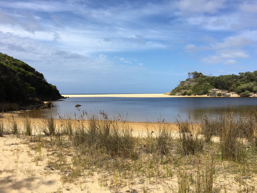 Benedore River and Rame Head walking tracks