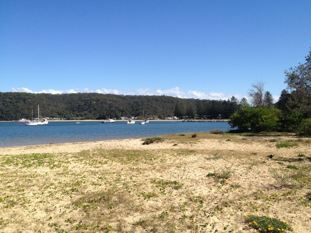 Pattonga to Pearl Beach