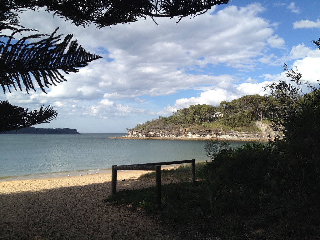 Pearl Beach to Pattonga Jetty