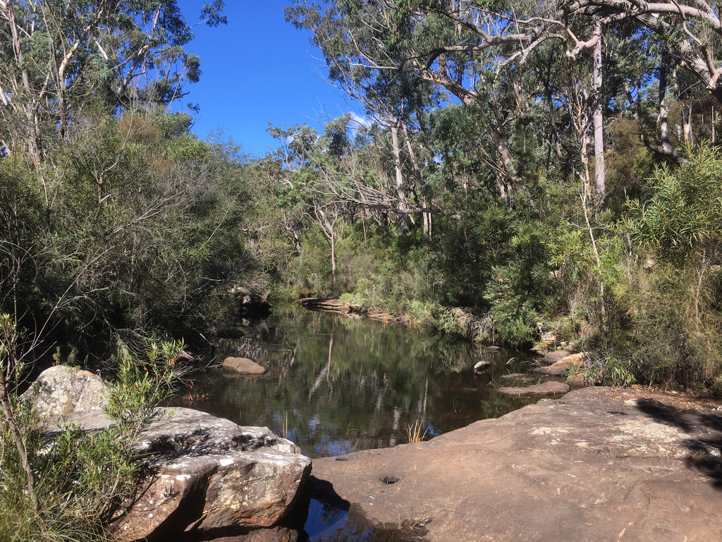 Kingfisher Pools Loop