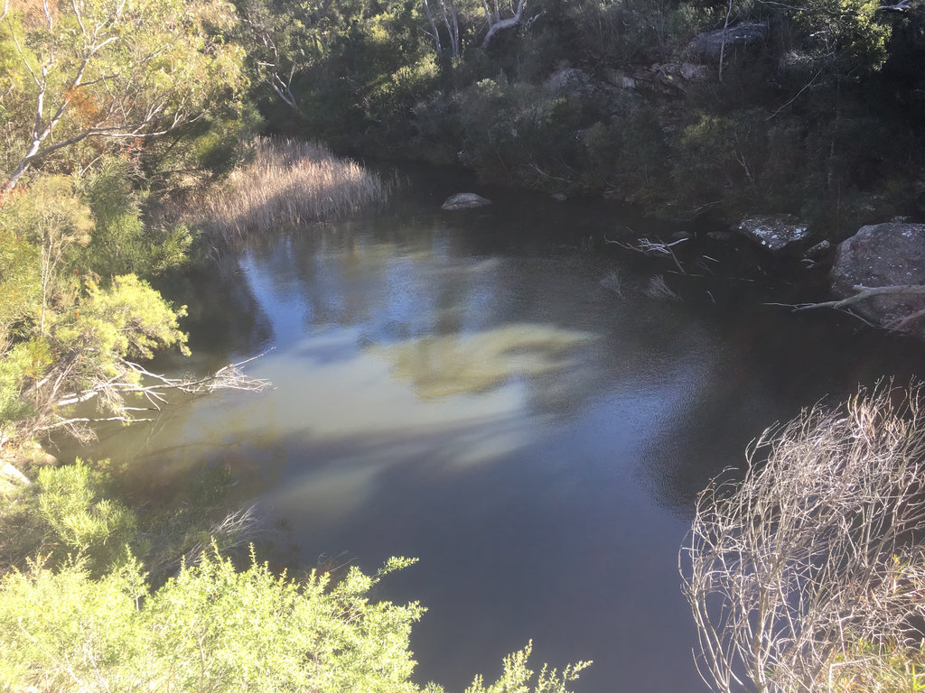 Kingfisher Pool