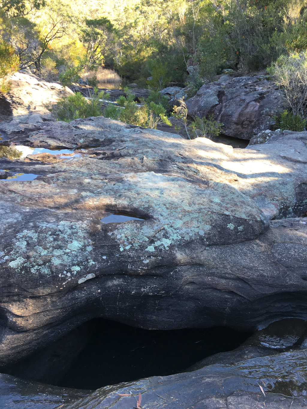 More pools and rock features.