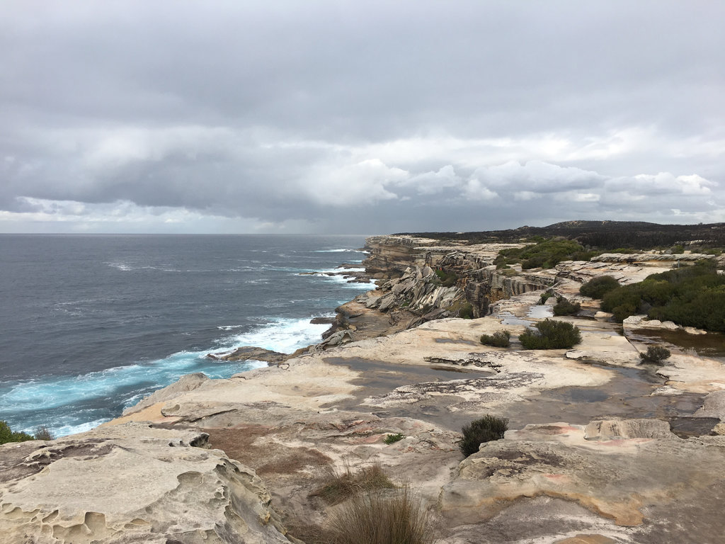 Around and about Kurnell