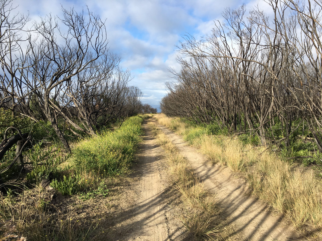 Around and about Kurnell