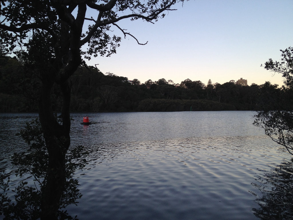 Lane Cove River