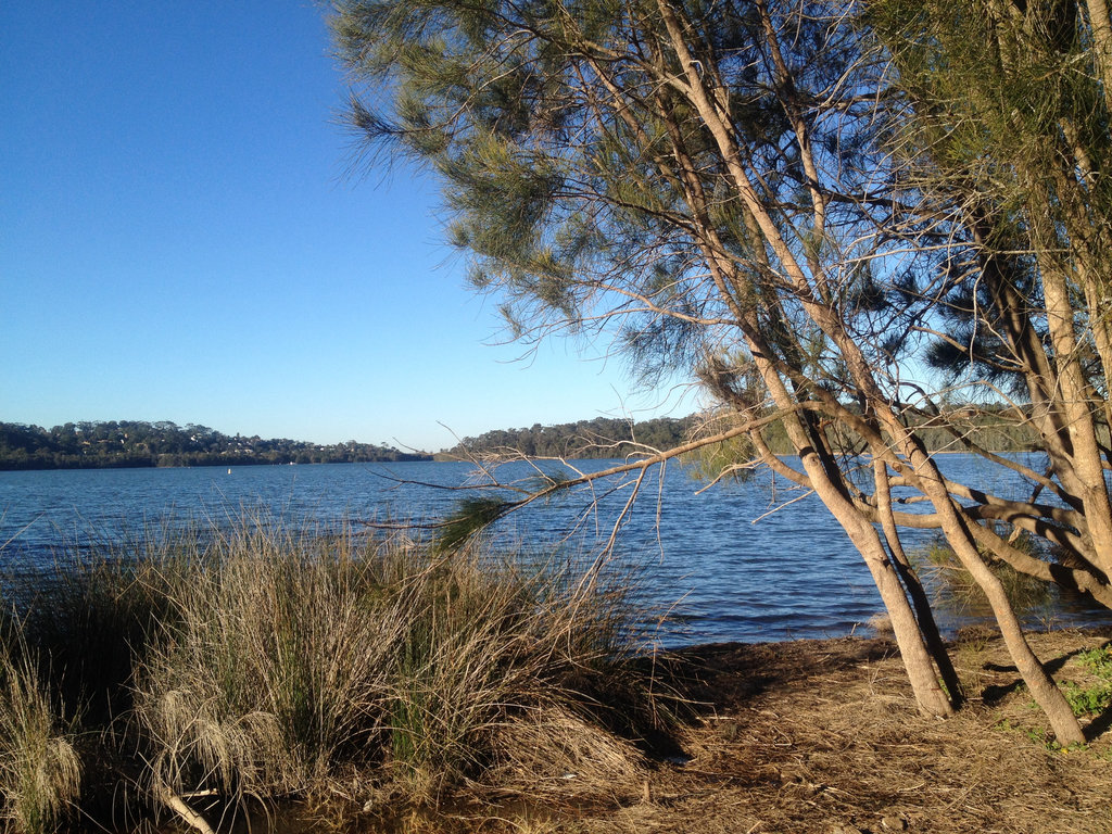 Warriewood Beach to Narrabeen Lake Loop