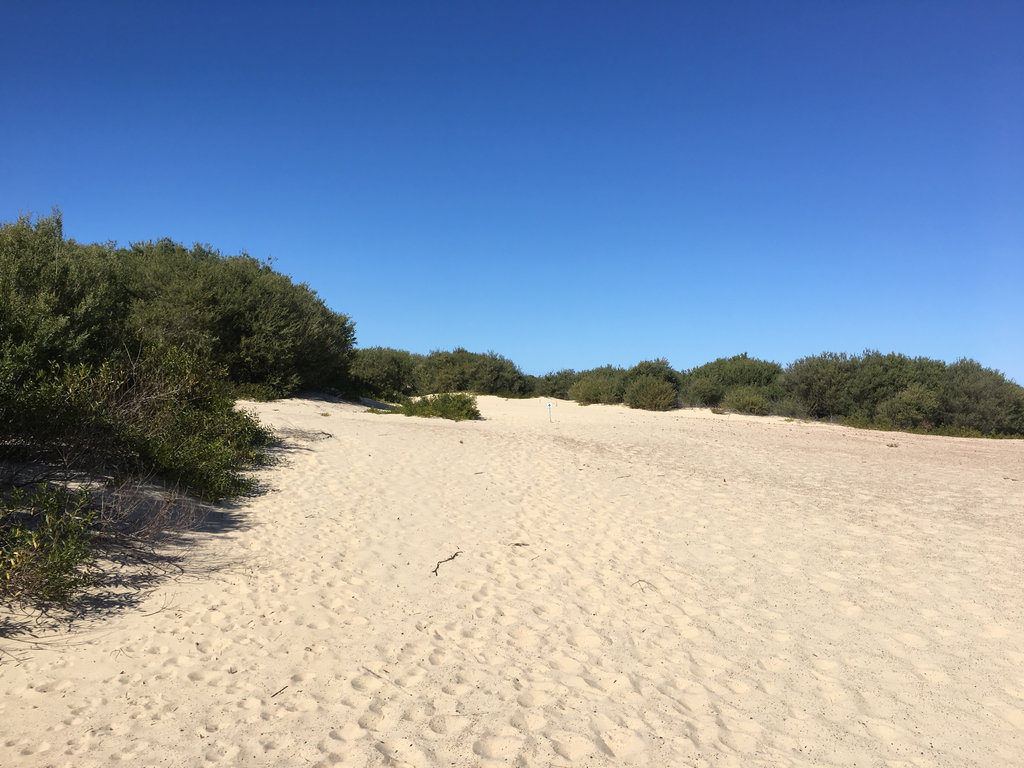 Jewells and Redhead Loop