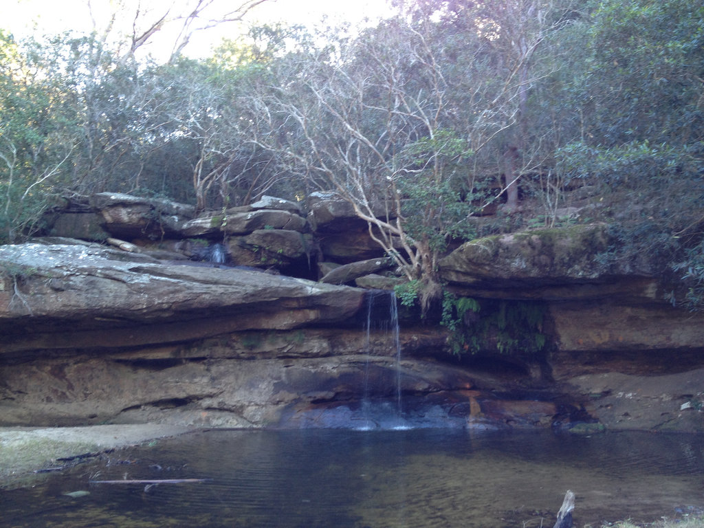 Warriewood Wetland Wander