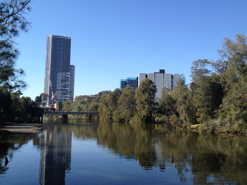 Meadowbank to Parramatta Return