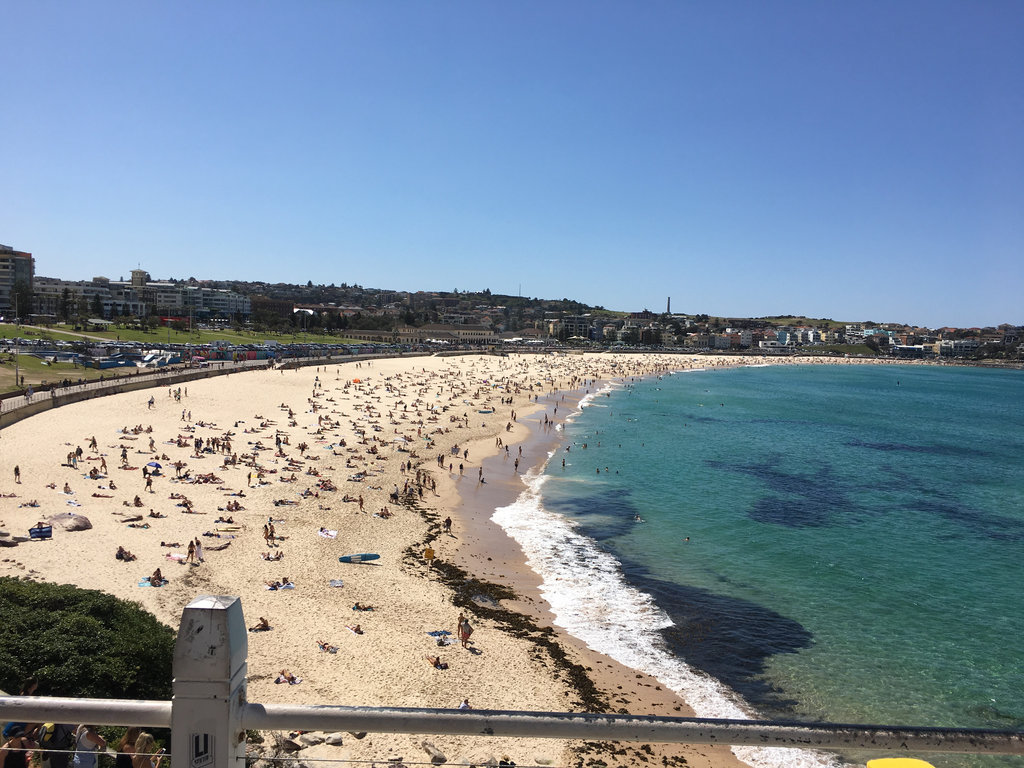 Bondi Beach to Watsons Bay