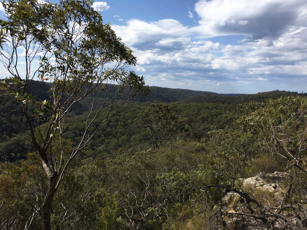 The Quary Trail