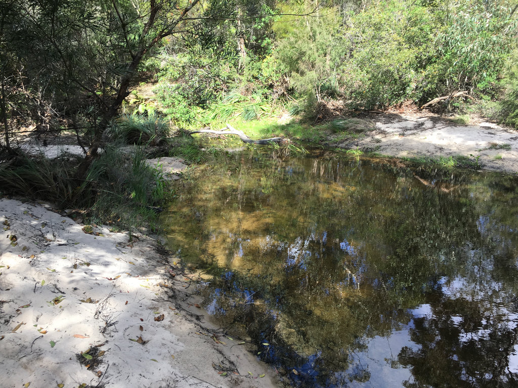 Exploring Duck Holes