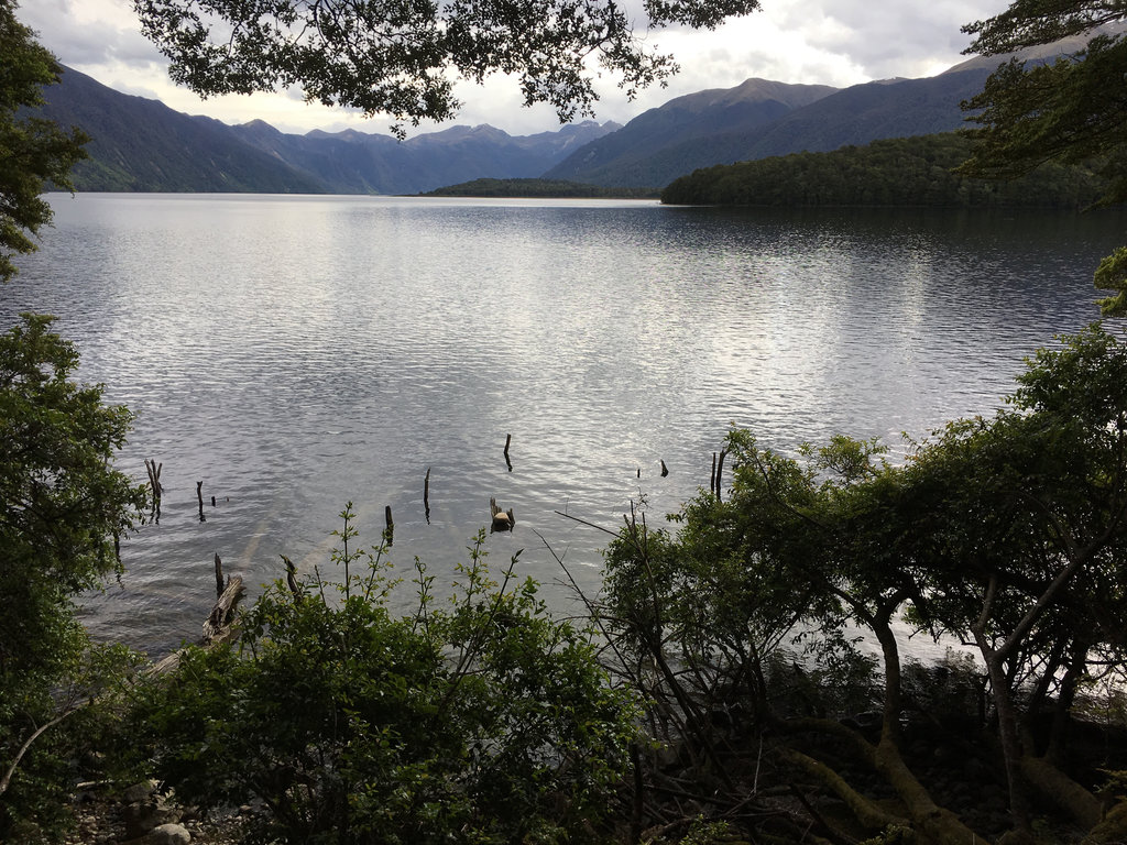 Monowai Lookout