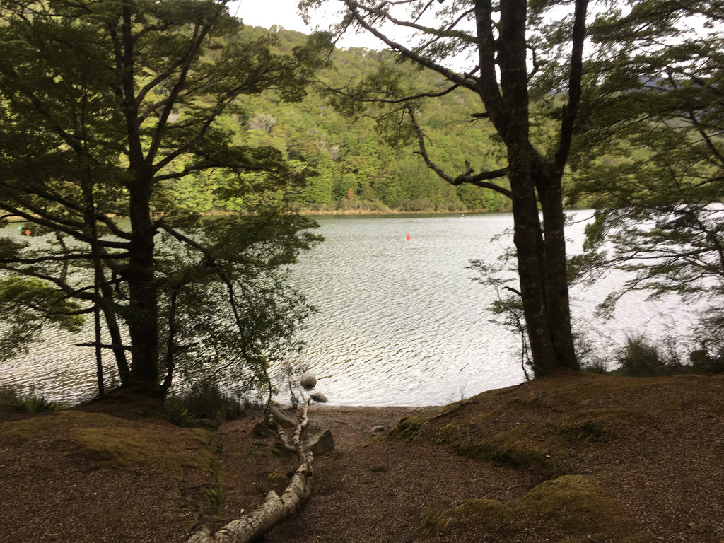 Monowai Lookout