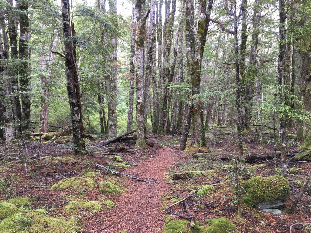 Monowai Tracks