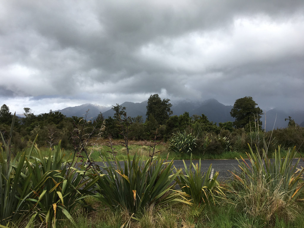 Lake Matheson 2