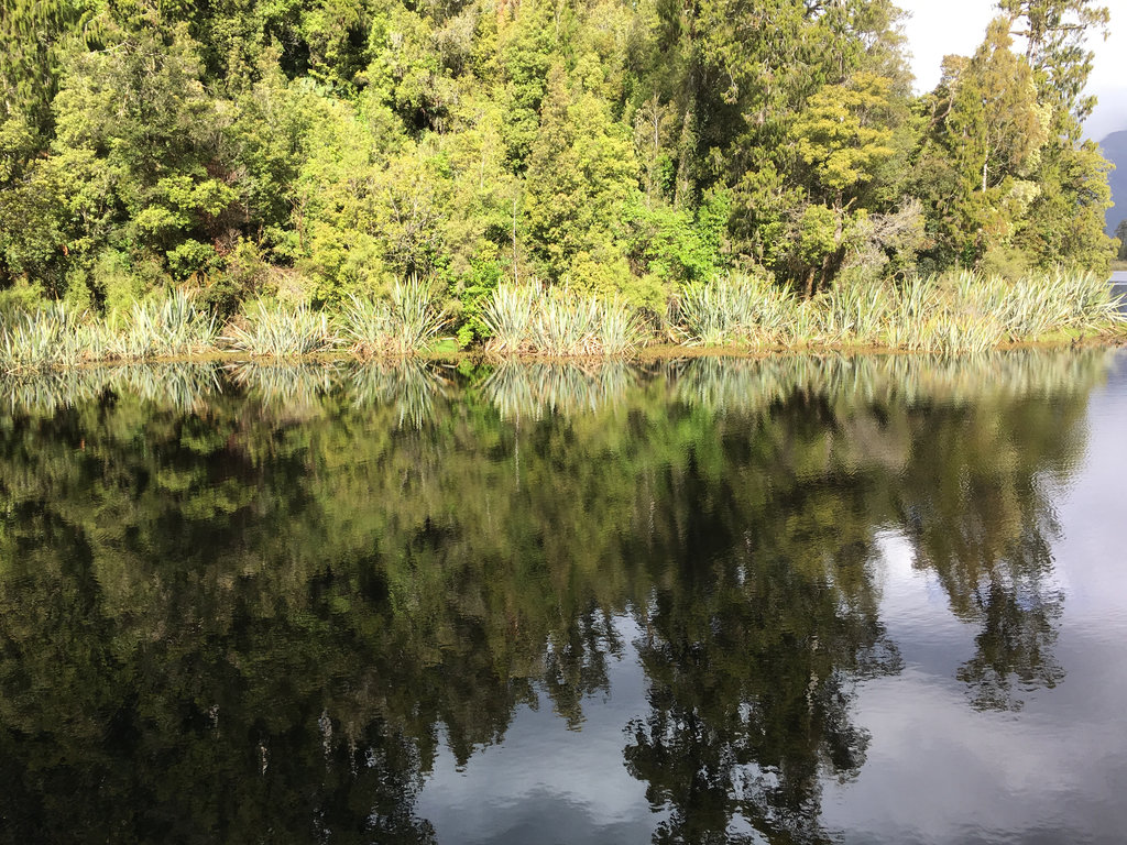 Lake Matheson 2