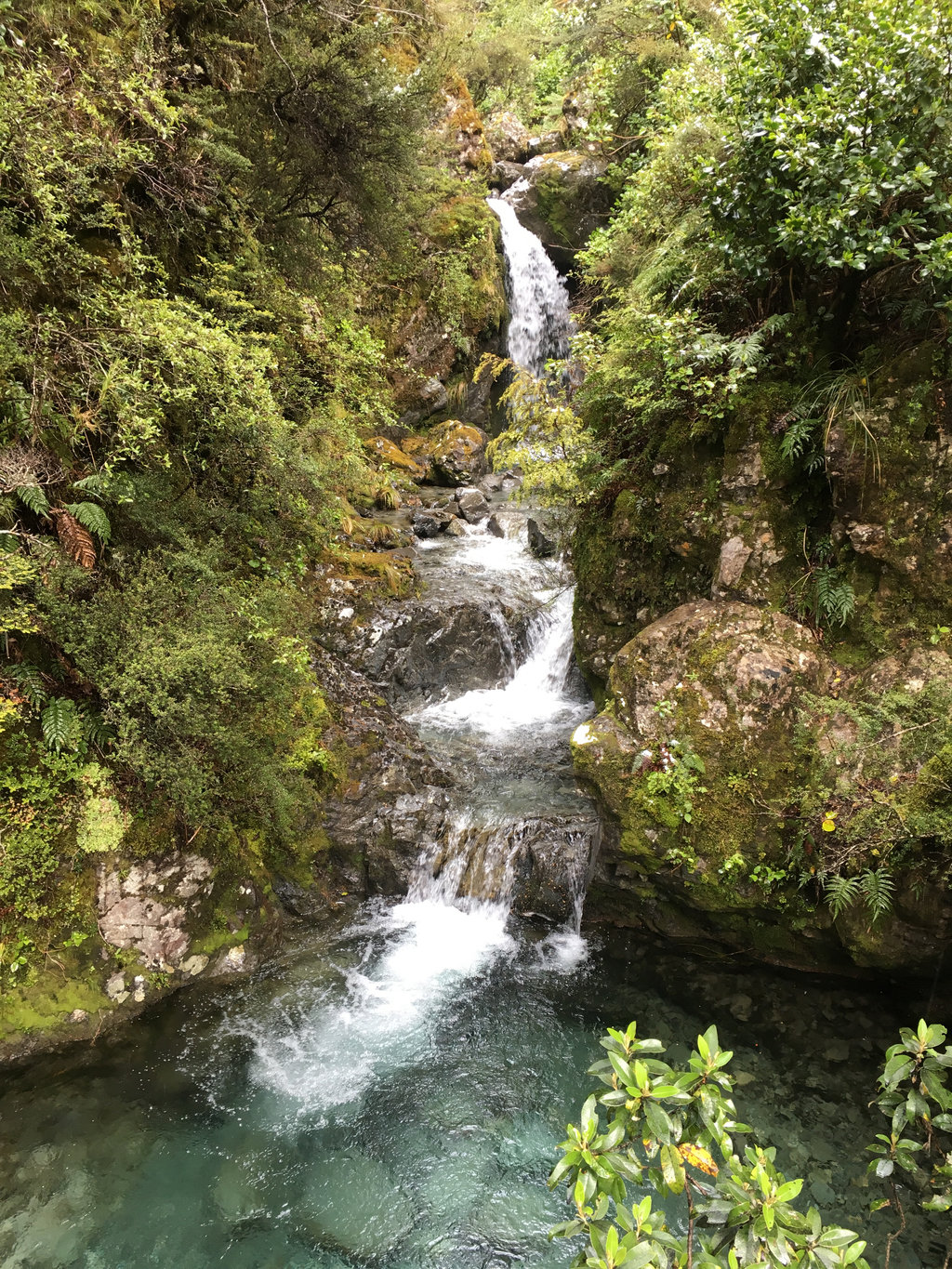 Arthurs Pass