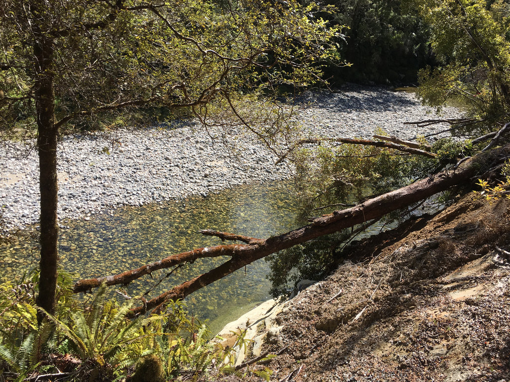 Pororari River Track