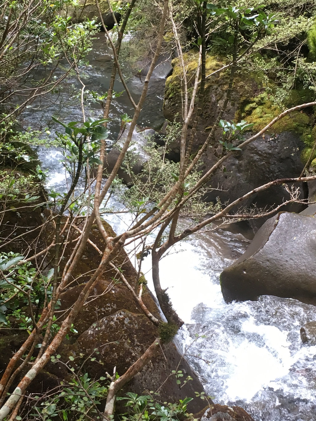 Taranaki Falls