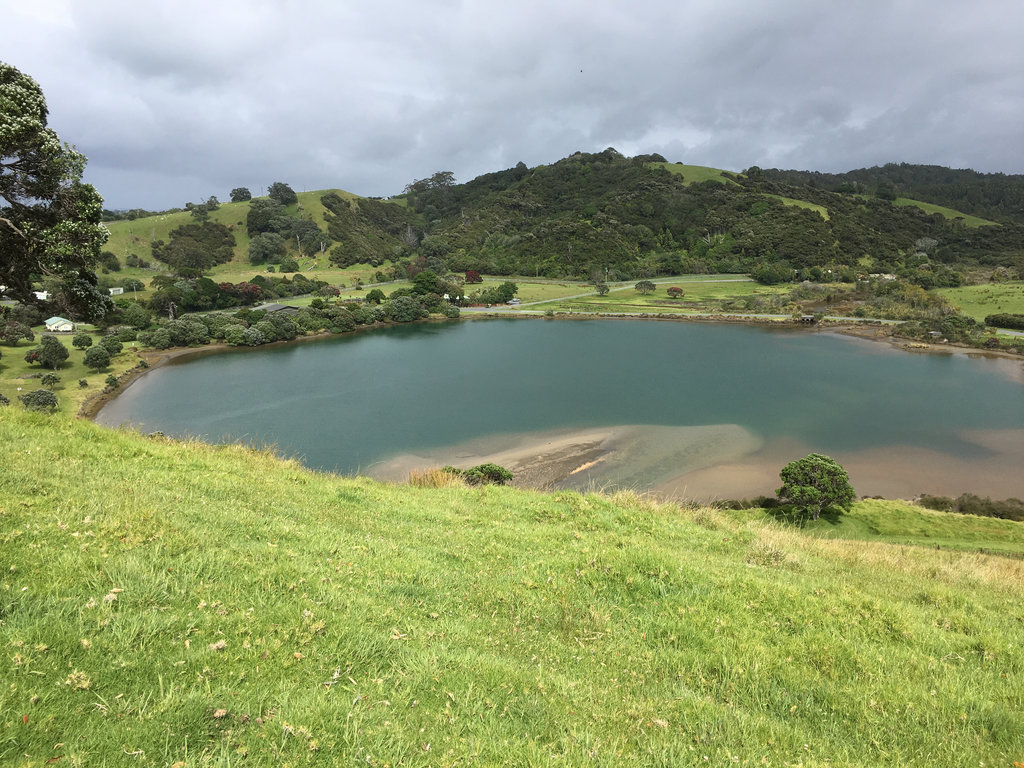 Tawharanui Costal Track 2