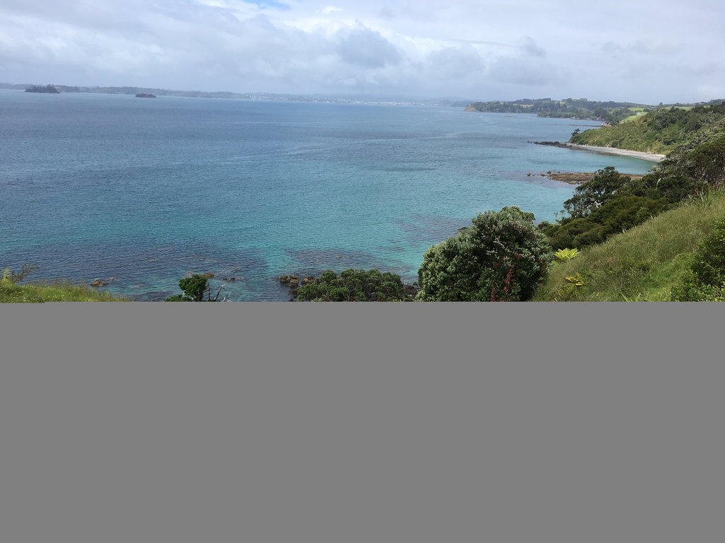 Tawharanui Costal Track 1