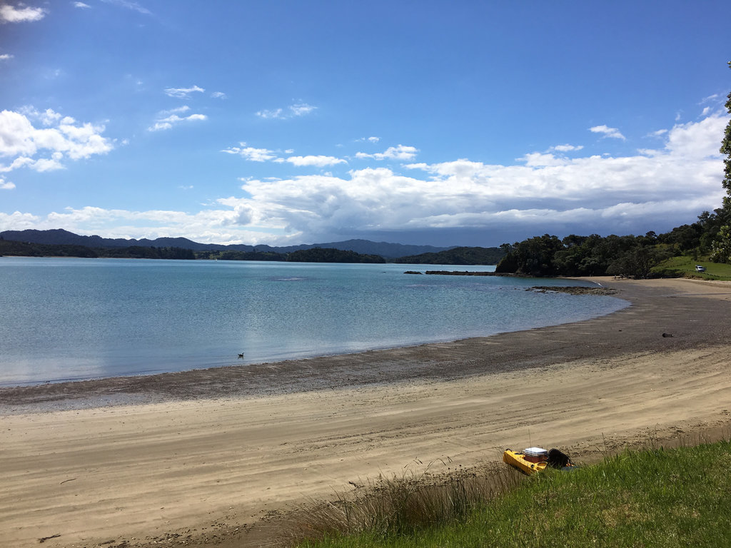 Puriri Bay 1