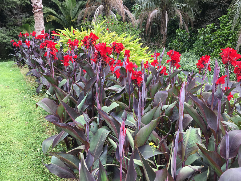 Auckland Botanic Gardens