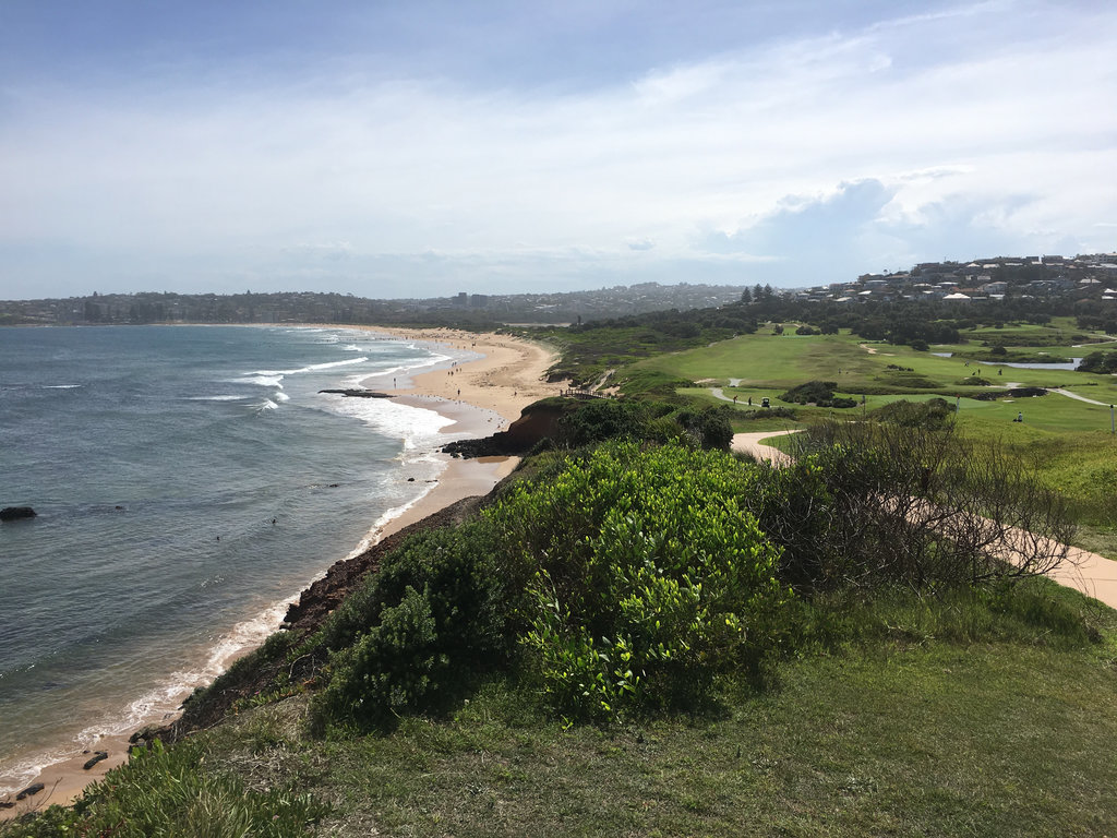 Collaroy and Long Reef