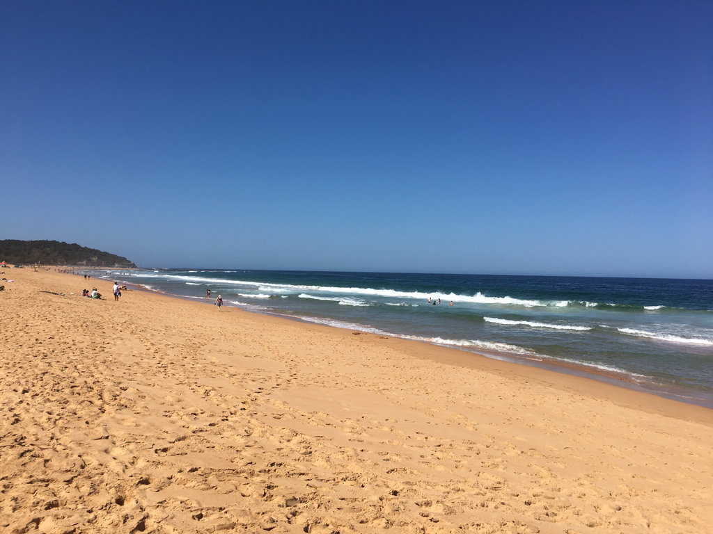 Dee Why to Warriewood on the Sand