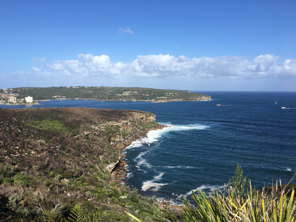 Balgowlah Heights Loop