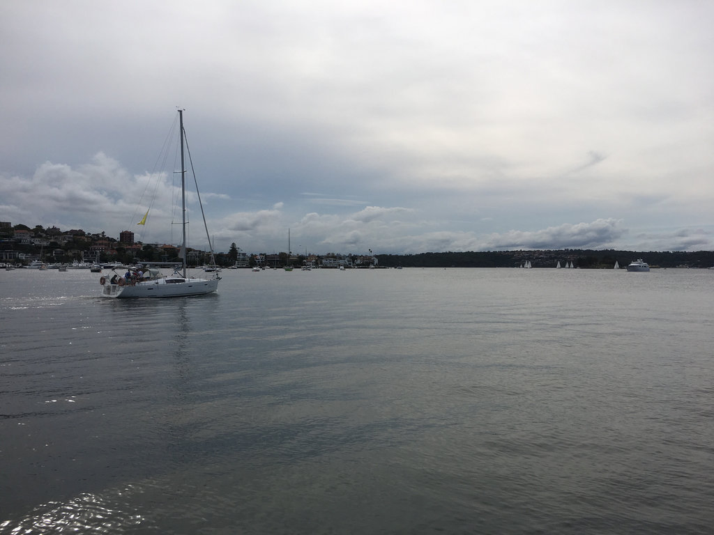 Cruise and walk around Sydney Harbour.