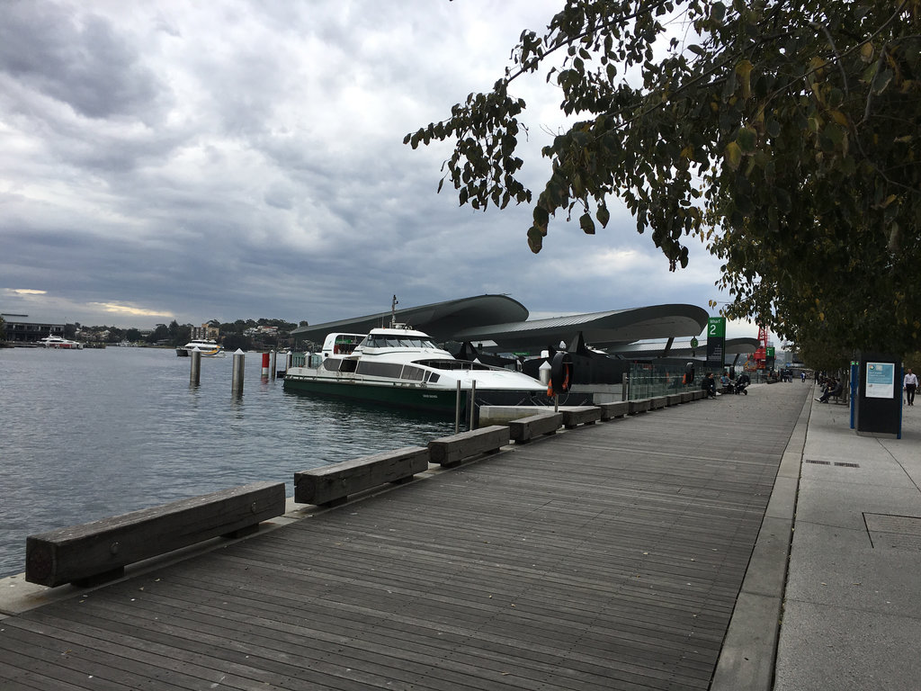 Sydney City Tour - fun way to the Gallery.