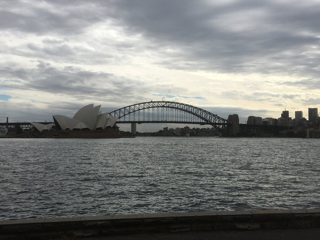 Sydney City Tour - fun way to the Gallery.